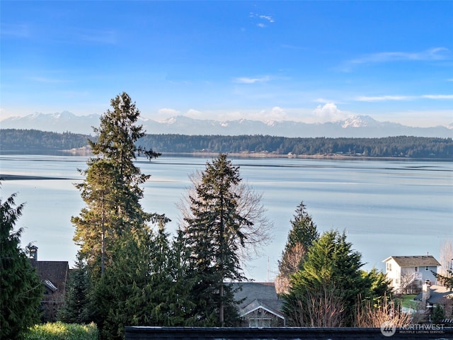 view of water feature featuring a mountain view