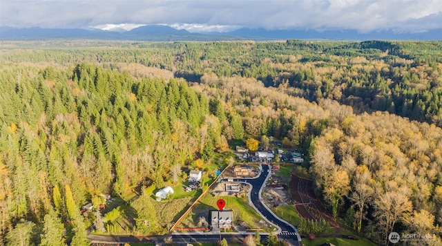 drone / aerial view featuring a mountain view