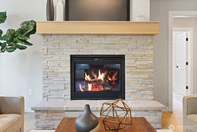 room details featuring a fireplace and wood finished floors