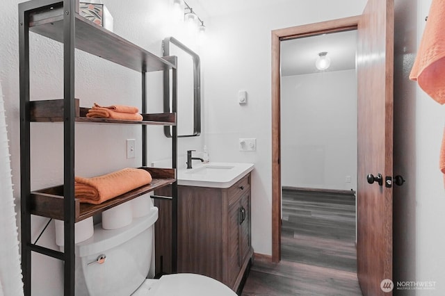 bathroom featuring toilet, vanity, and wood-type flooring