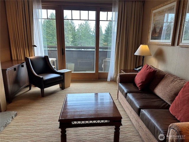 living room featuring light colored carpet