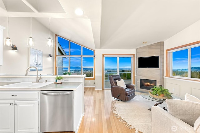 kitchen featuring a sink, a fireplace, open floor plan, and stainless steel dishwasher