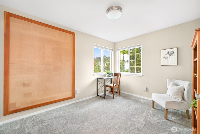 sitting room featuring carpet floors and baseboards