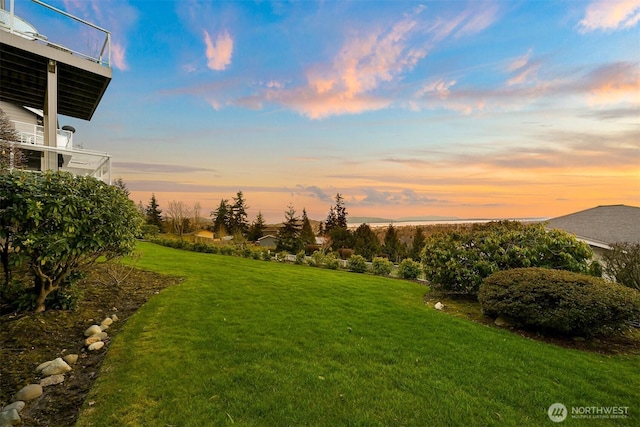 view of yard at dusk