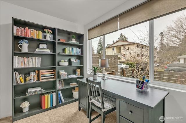 office area with carpet floors