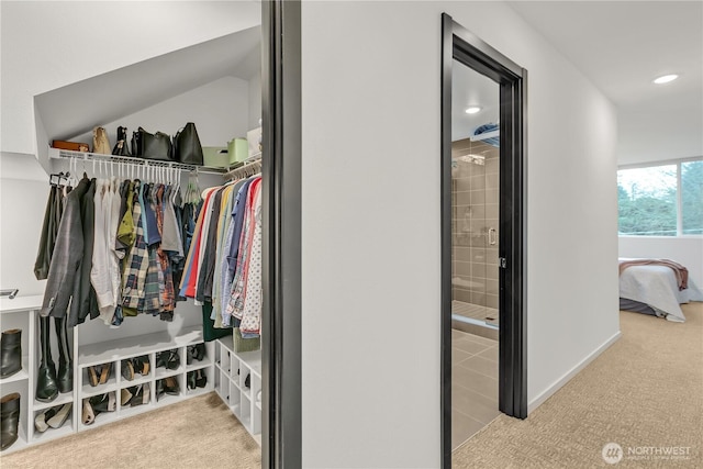 view of closet