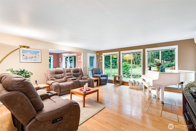 living room featuring light hardwood / wood-style floors