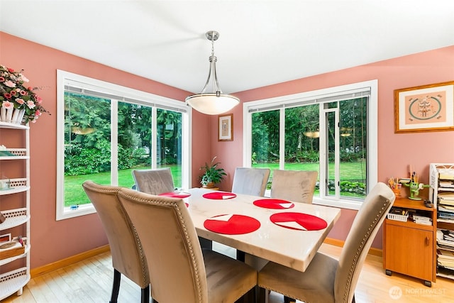 dining room featuring light hardwood / wood-style floors