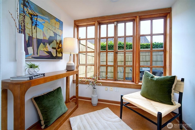 sitting room with light colored carpet and baseboards