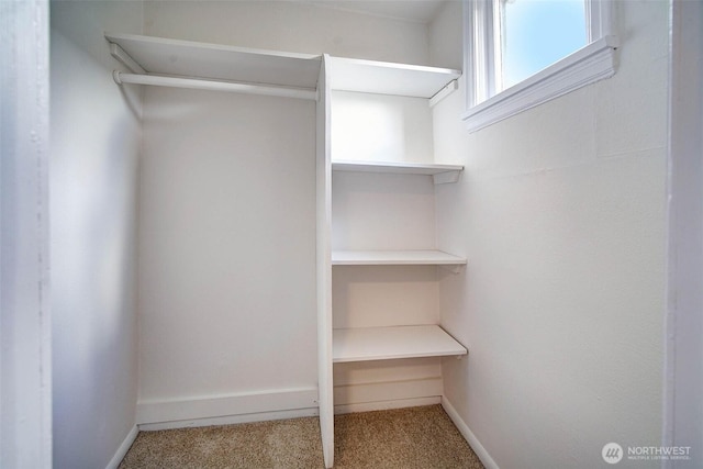 spacious closet with carpet flooring