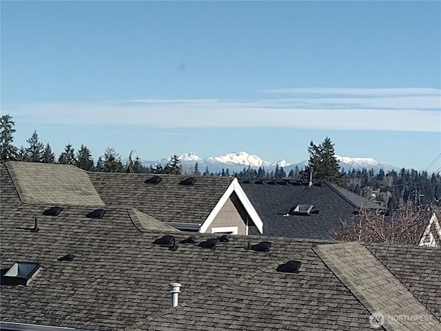 exterior details featuring a shingled roof and a mountain view