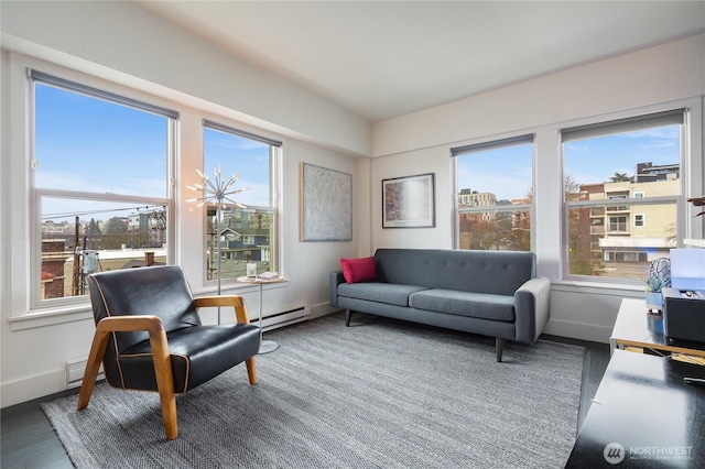 interior space with a baseboard radiator and a wealth of natural light