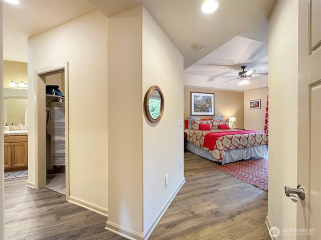 bedroom with a spacious closet, baseboards, and wood finished floors