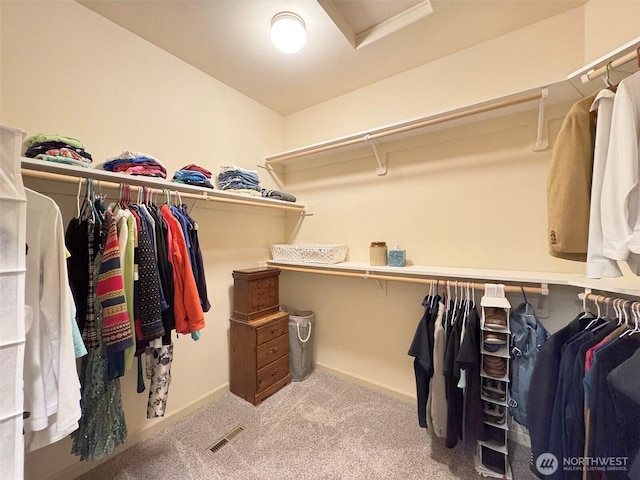 spacious closet with attic access, carpet flooring, and visible vents