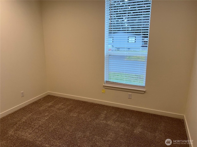 spare room with carpet floors