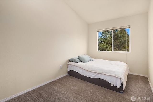 bedroom with carpet, lofted ceiling, and baseboards