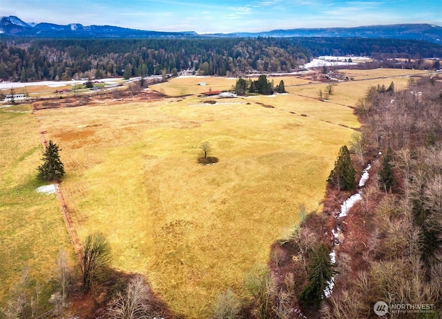 birds eye view of property with a mountain view and a rural view