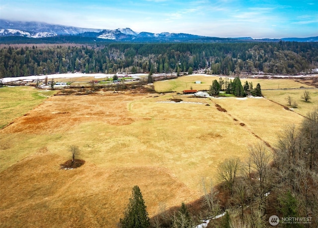 drone / aerial view featuring a mountain view and a rural view