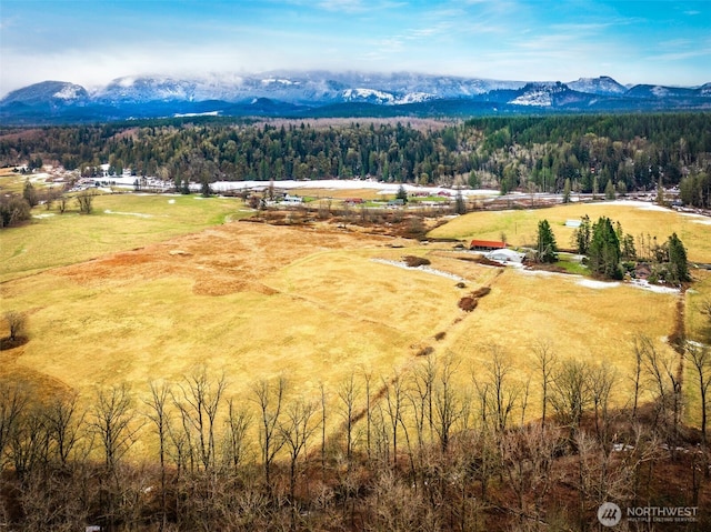 aerial view with a rural view and a mountain view