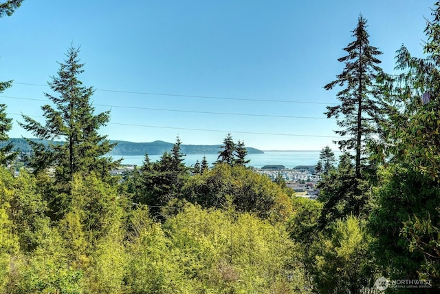 mountain view featuring a water view