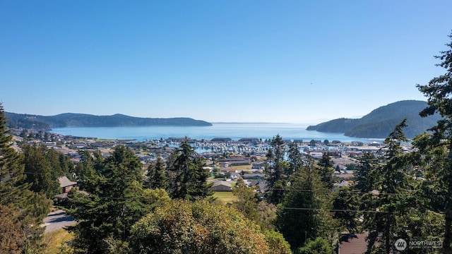 mountain view with a water view