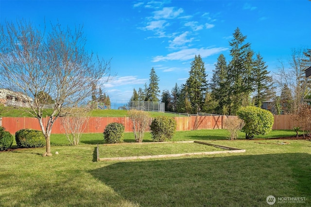 view of yard featuring a fenced backyard