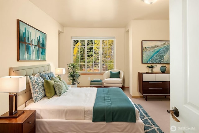 211 Broadway St, Cle Elum, WA 98922 - view of carpeted bedroom