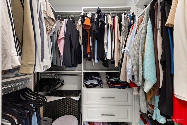 view of walk in closet