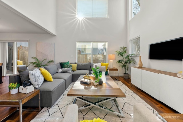 living room featuring hardwood / wood-style flooring