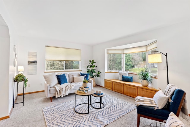 living room featuring light colored carpet