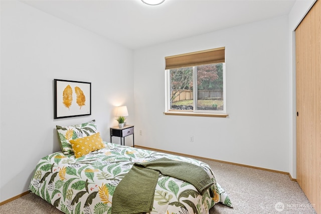 bedroom featuring carpet and a closet