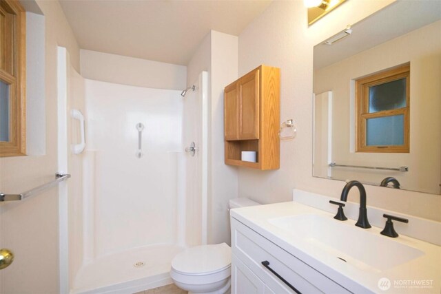 full bathroom featuring toilet, a stall shower, and vanity