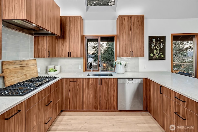 kitchen featuring light hardwood / wood-style floors, sink, custom range hood, appliances with stainless steel finishes, and decorative backsplash