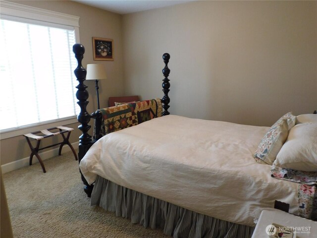 carpeted bedroom featuring multiple windows and baseboards