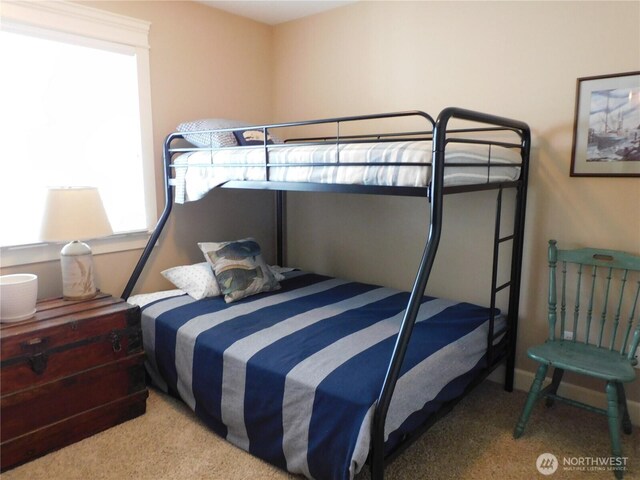 bedroom with carpet flooring