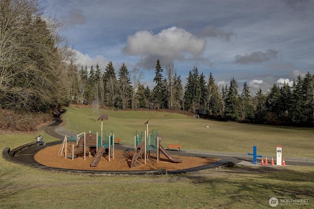 communal playground with a lawn