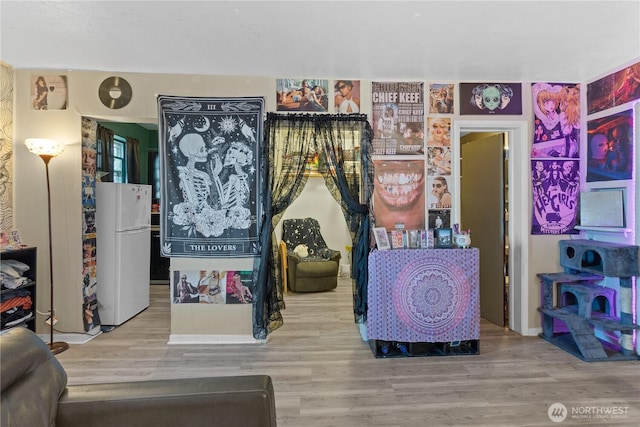 playroom with hardwood / wood-style floors