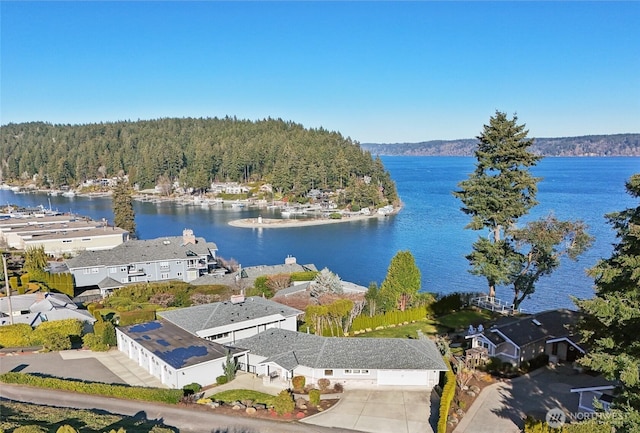 bird's eye view with a water view