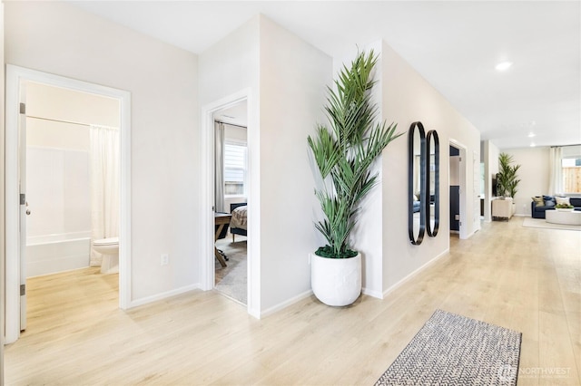 hall with light hardwood / wood-style flooring