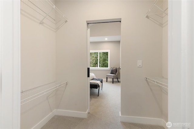 walk in closet featuring light carpet