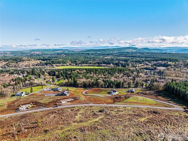 bird's eye view with a mountain view