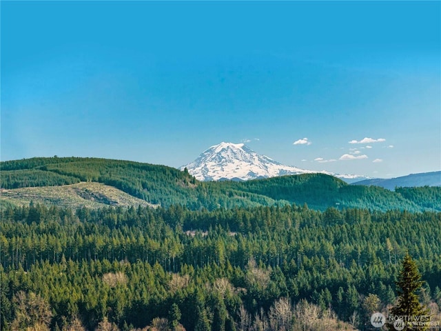 237 Dax Spur, Castle Rock WA, 98611 land for sale