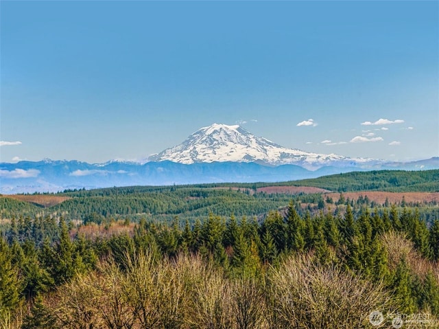 257 Dax Spur, Castle Rock WA, 98611 land for sale