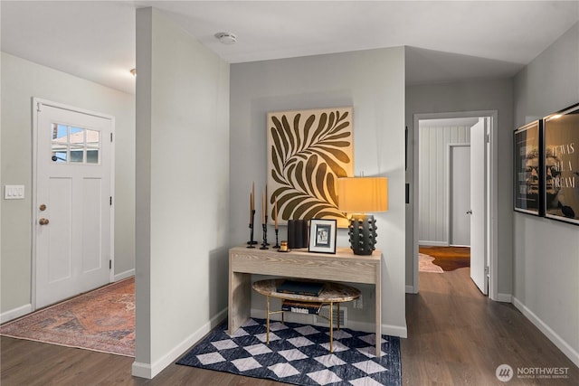 entrance foyer with dark wood-type flooring