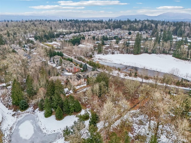 drone / aerial view featuring a mountain view