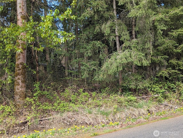 view of nature featuring a wooded view