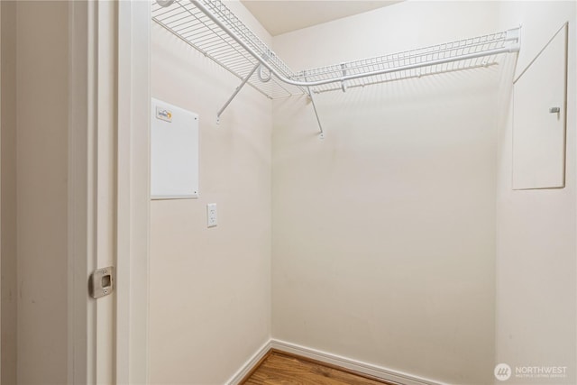 spacious closet featuring hardwood / wood-style flooring