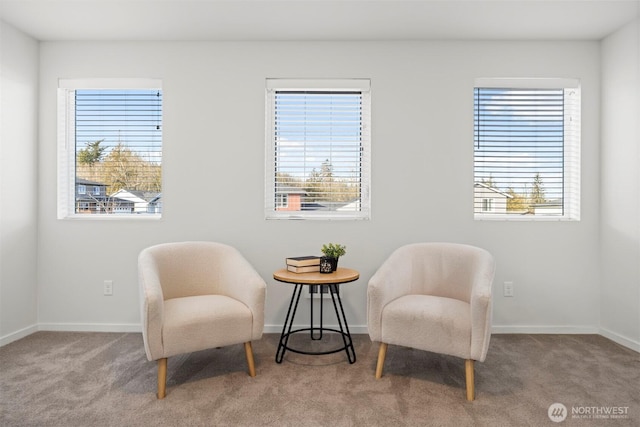 sitting room with a wealth of natural light, carpet, and baseboards