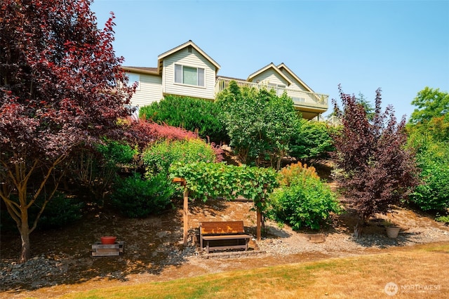 view of yard featuring a balcony