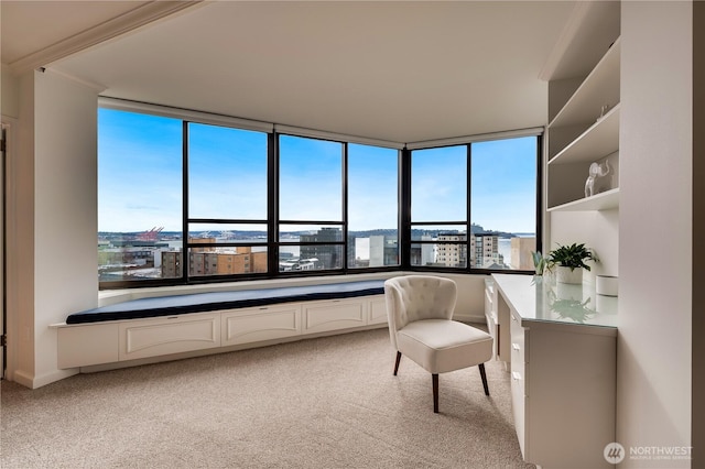 sitting room featuring a view of city and light colored carpet